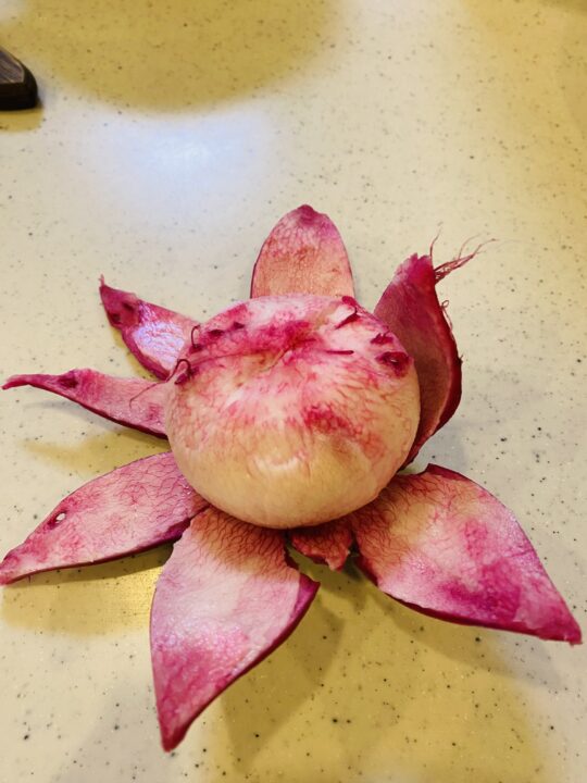 もものすけのお花むき