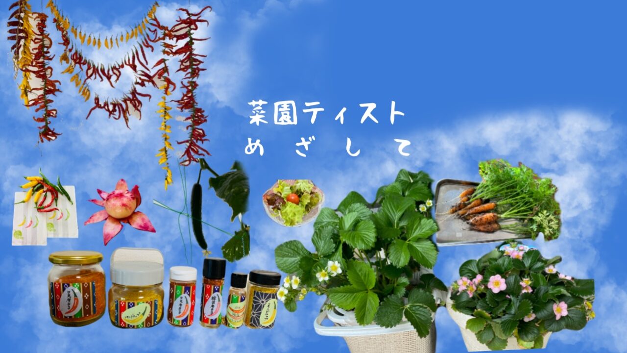 菜園ティストめざして