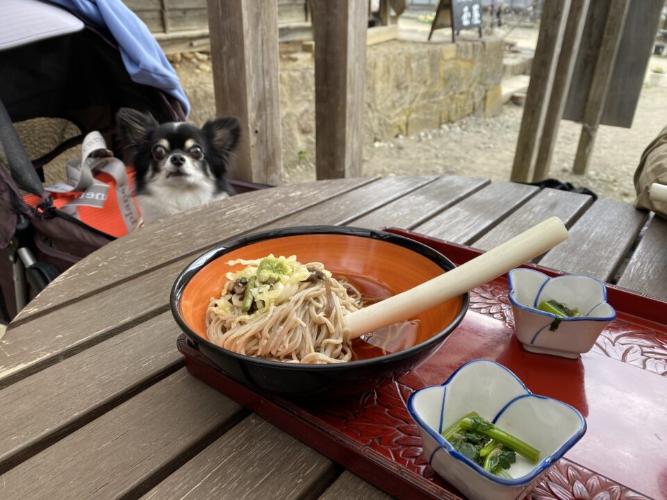 ねぎそばはネギで食べました