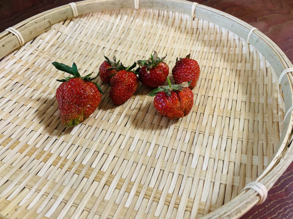 東京おひさまベリーは、香りよし、味よし