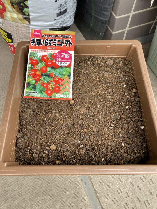 ダイソーの種 矮性トマト
手間いらずミニトマトの種をまいた