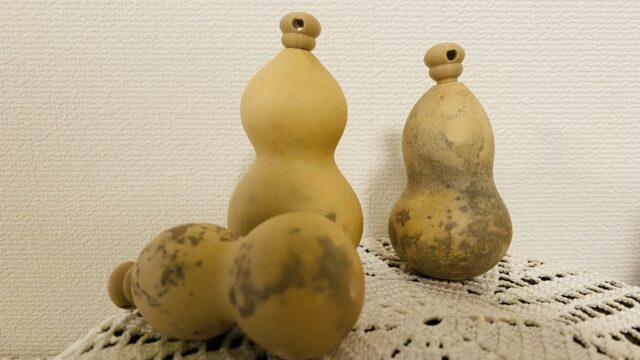 3Dプリンターで自作した生分解性プラスチックの栓を装着したひょうたん