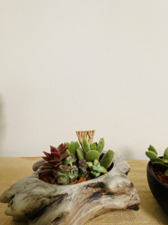 多肉の寄せ植えと廃材アクセサリーのコラボ