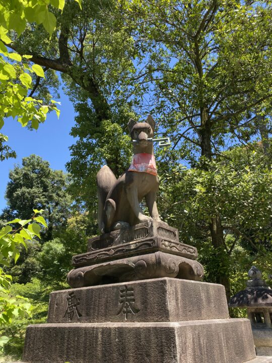 京都伏見稲荷の狐
