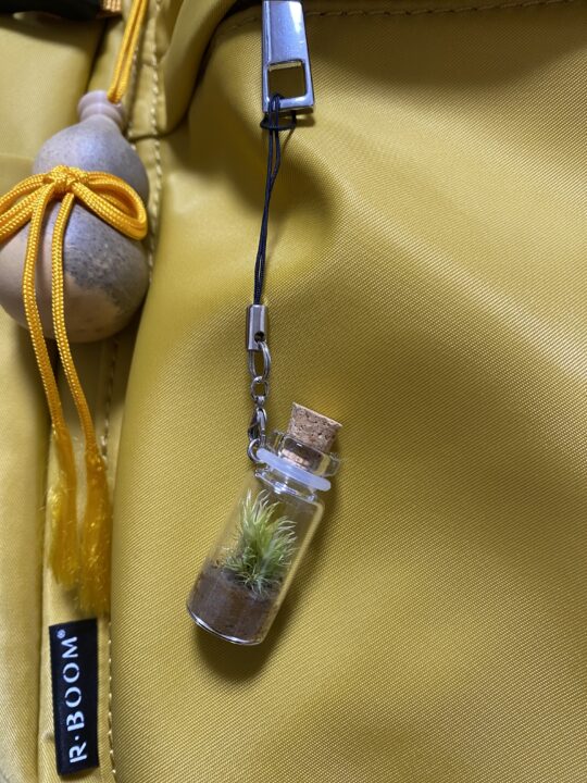 奥入瀬で買った苔ストラップ