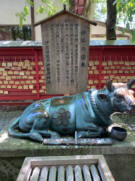 伊佐須美神社のなで牛