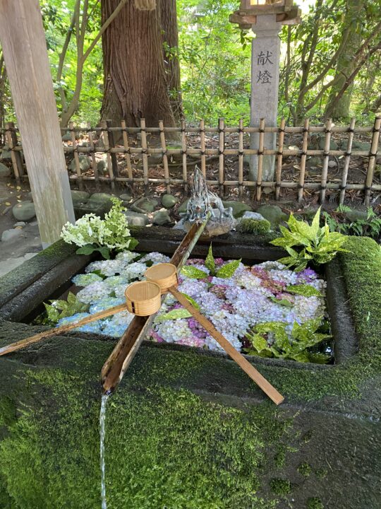 伊佐須美神社の花手水