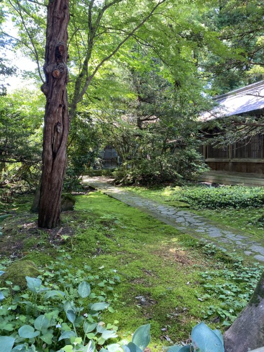 伊佐須美神社の苔