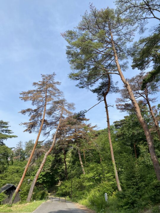 翠ヶ丘(みどりがおか)公園