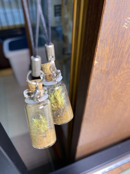一年前奥入瀬で買った苔ストラップ